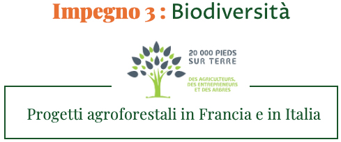 Il nostro impegno biodiversita impegno